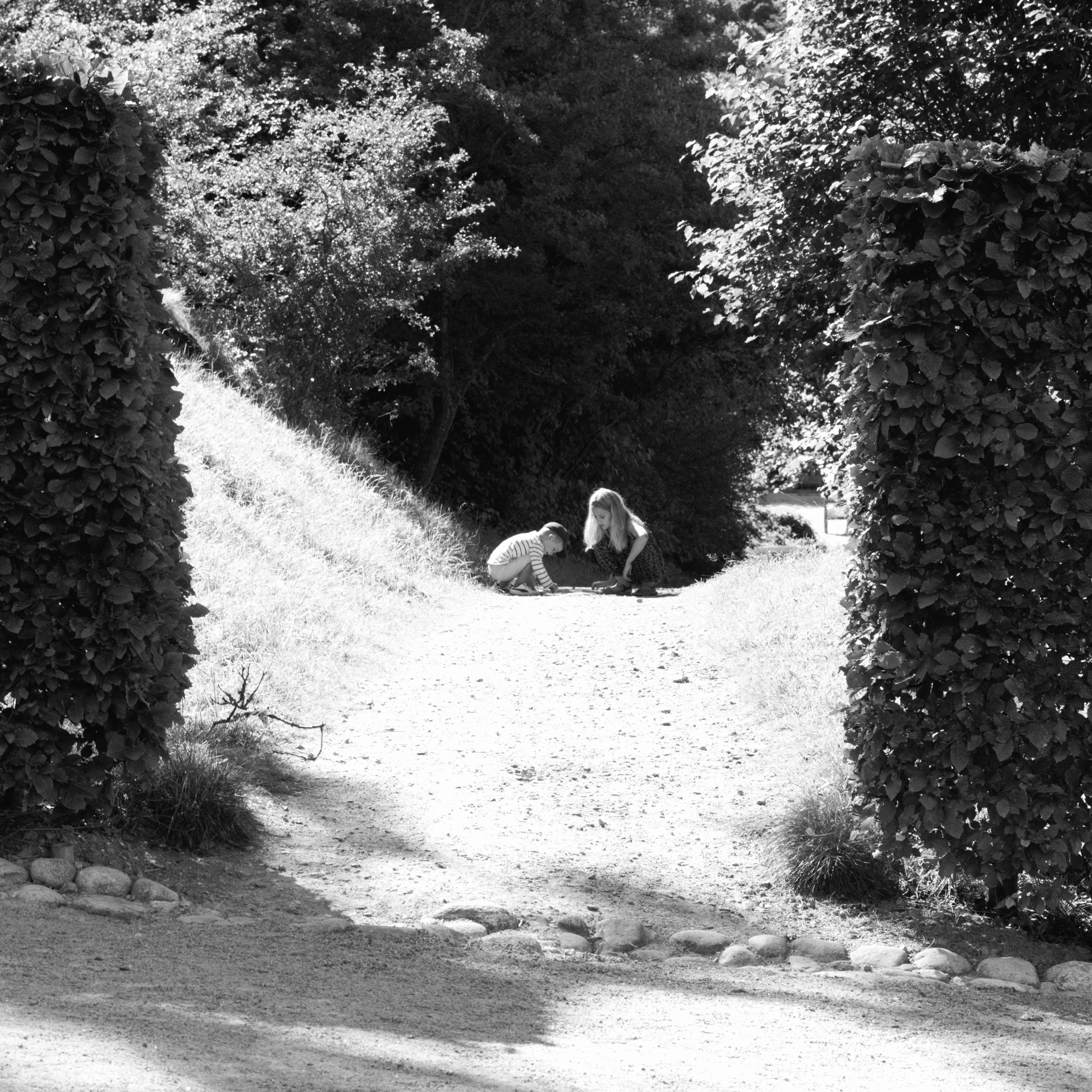 A hole in the hedge at Gunnebo (Mölndal, Sweden) with Leica M Monochrom (Leica Macro-Elmar-M 90mm f/4) by Magnus L Andersson (photography.anderssoneklund.se) at 2013-08-25 11:11:17